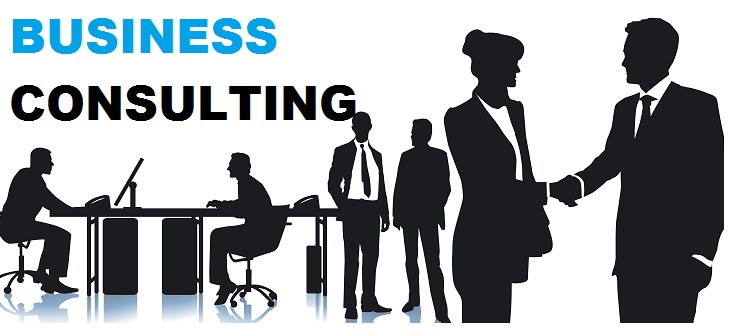 Golden Bay Consulting Business